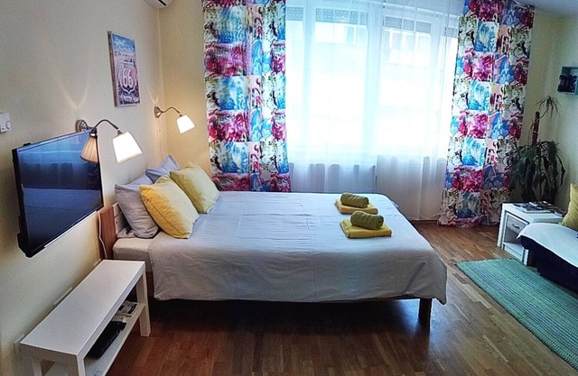 Cozy studio apartment