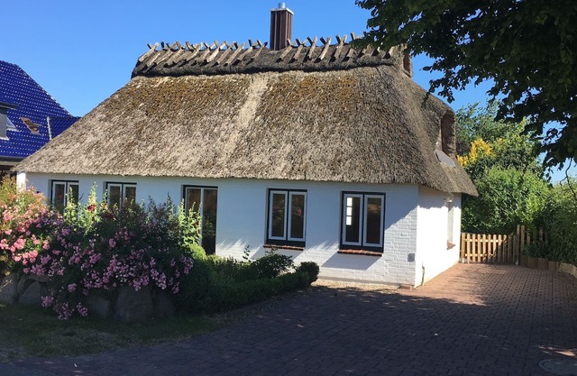 Cozy thatched cottage in the middle of nature