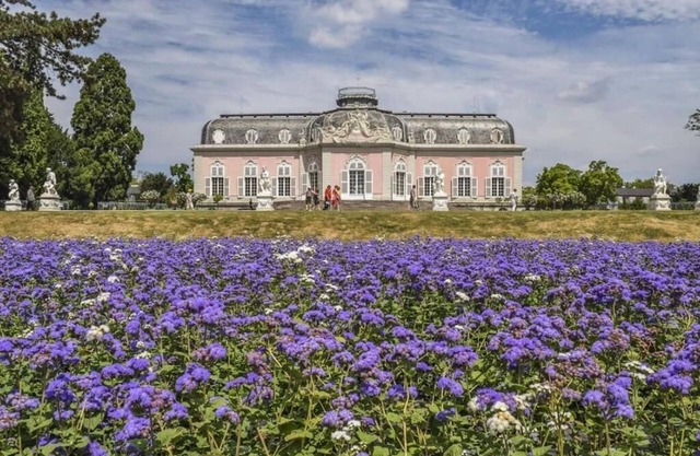 Cozy vacation apartment close to Benrath Castle Düsseldorf with terrace and kitchen