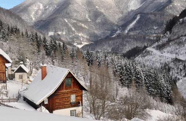 Cozy vacation hut Upper Austria Ennstaler Kalkalpen up to 6 pers., fenced
