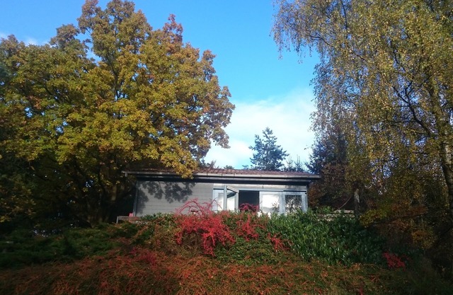 Cozy wooden house with a fireplace and great views, fenced garden