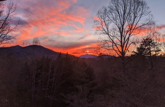 Critter Hill Studio Apt. close to downtown Asheville and the Blue Ridge Parkway