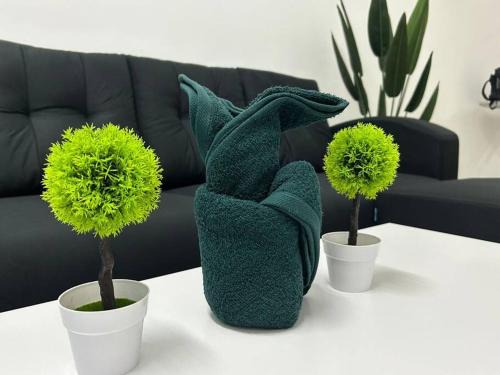 D'Teluk Kemang Homestay @ PD