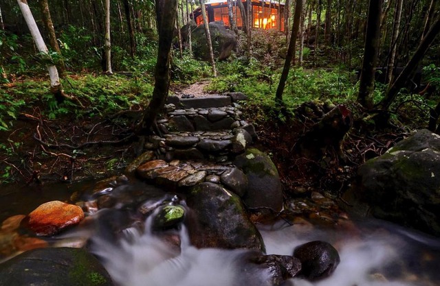 Daintree Cascades