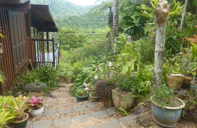 Daintree Holiday Homes - The Folly