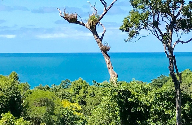 Daintree Magic Vacation Home