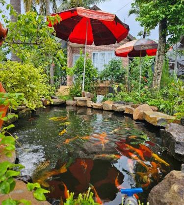 Dak Nguyen Homestay DakLak