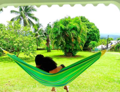 Dans un coin de verdure