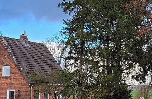 Dat ole Faehrhus - Dat ole Fährhus