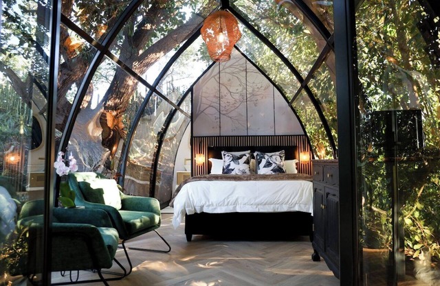 De Nest - Clear glass Tree cabin in Montagu