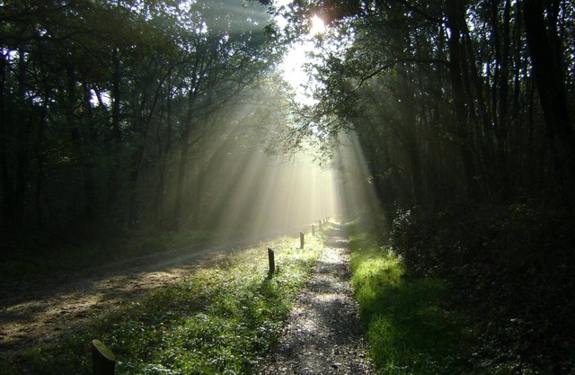 De Wapser Herberg