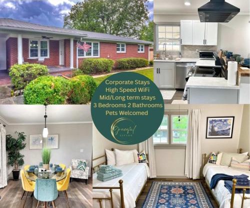 Decatur's Family Sport Haven & Backyard Bliss