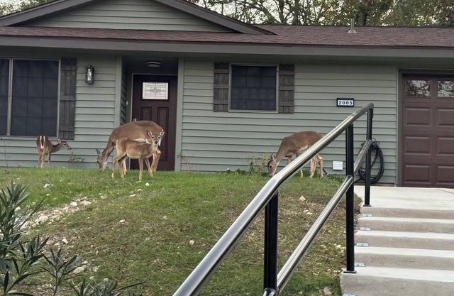Deer Hill - Charming 3-bedroom house with WiFi and AC overlooking Copperas Cove
