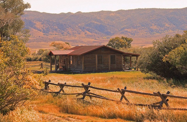 Deerwood Station- Relax in Our Beautiful Guest Cabin!
