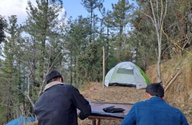 Delicate camp D