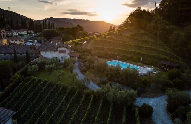 Delicious Villa with wellness center and private pool