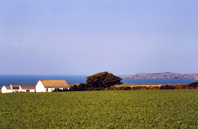 Delightful Cottage With Panoramic Sea Views near St.Davids