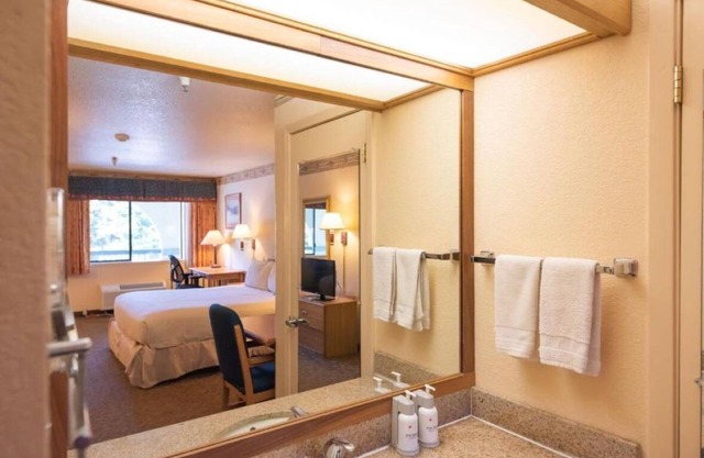 Deluxe Room 1 King Bed