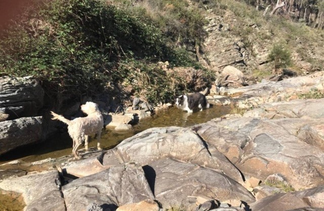 Dempsey's Cottage - Relax on 400 beautiful acresn