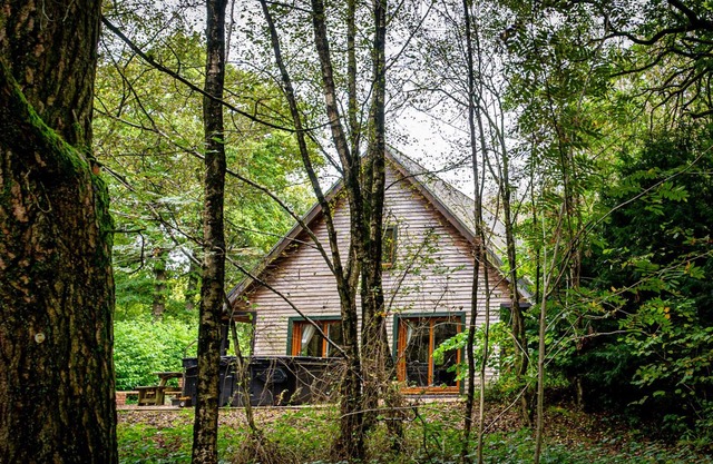 Denstone; woodland lodge for 8 with hot tub, log burner, BBQ, near Alton Towers.