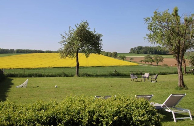 Detached country house Paco with 2100sqm fenced plot, fireplace, sauna and visit the alpaca farm in the neighborhood