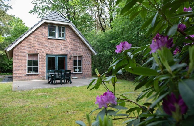 Detached holiday home, perfect for families and groups in Drenthe.