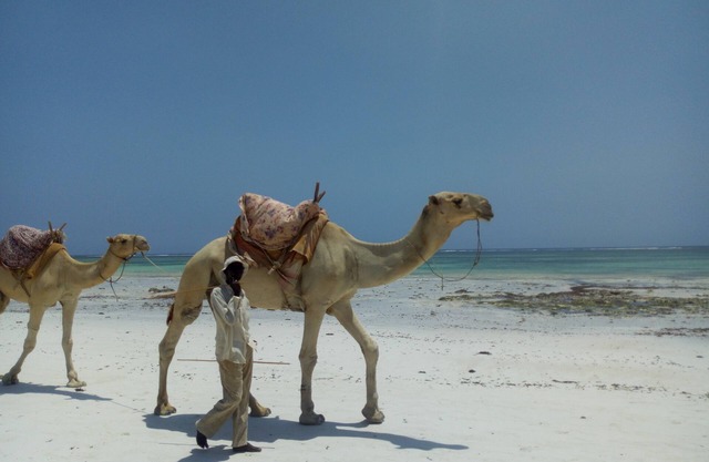 Diani beach Kenya .A little paradise on Earth