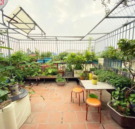 Doctor Homestay 6