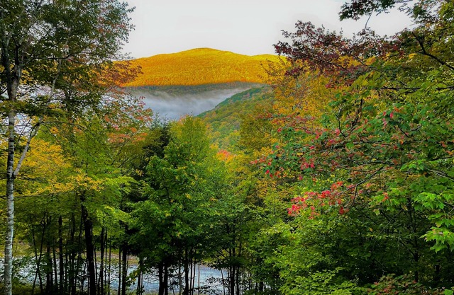 Dog-friendly mountain view home near Okemo & Killington with washer/dryer