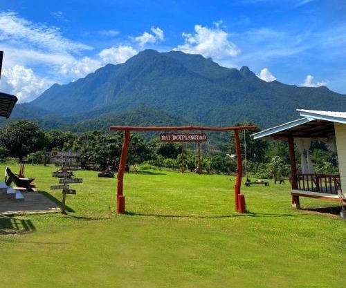 Doi Piang Dao Farm