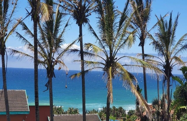DolFinView Beach House