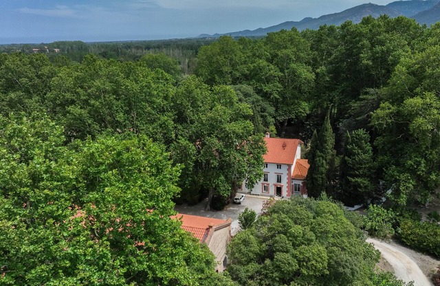 Domaine Castell de Blés - Gîte "Les Albères"
