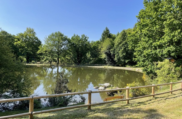 Domaine de 6 Hectares Avec 2 Étangs Rien que Pour Vous
