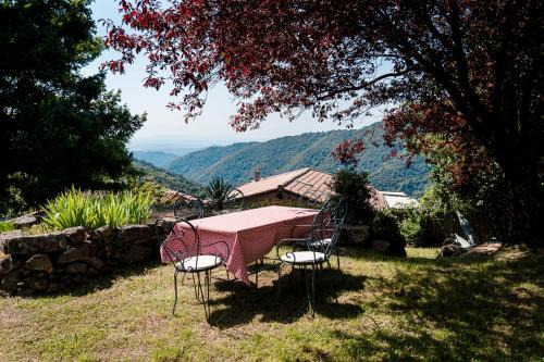 DOMAINE DU VERNADEL
