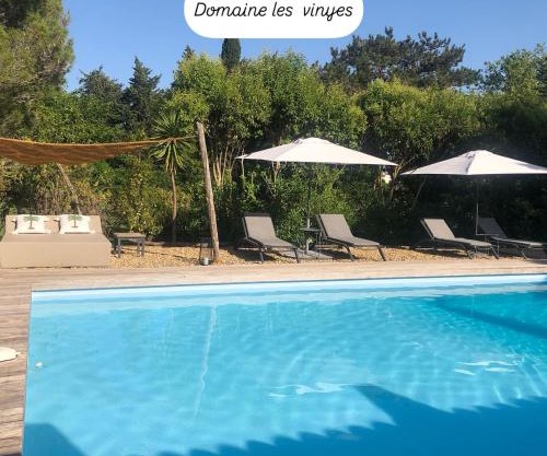 DOMAINE LES VINYES