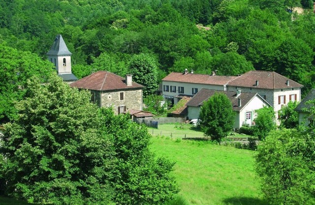 Domisiladore
