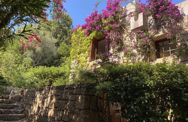 DOMUS OLIVARUM-Costa Smeralda NEW! 7 guest, 3 room, 2 bathroom, 2 PK, Wifi A/C