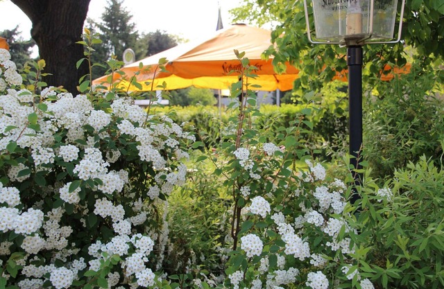 Double room, max. 2 people - Gasthof & Pension Zur Friedenseiche (Pension)
