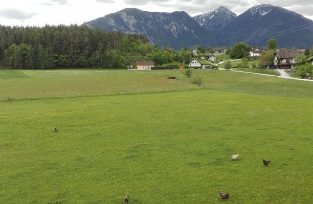 Double room small (II), D/WC, balcony - Bauernhof-Pension Puschnikhof