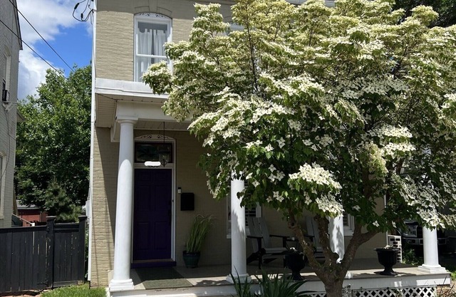 Downtown Frederick Charm w/Modern Comfort - Walk to Market St! Rare SF w/Yard