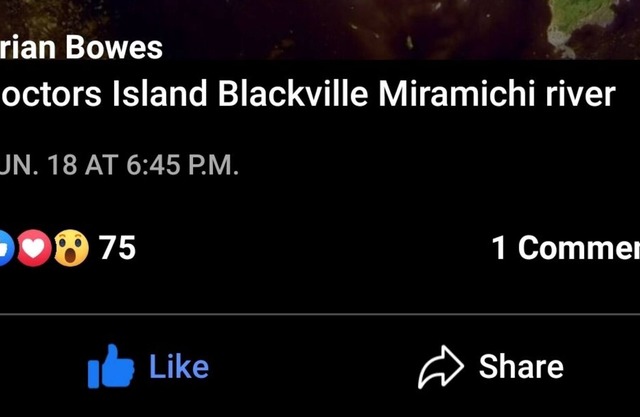 Dr Idear cabin . Water front . Private island