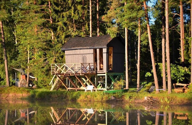 Dragon house in the tree! Jacuzzi, Sauna ,Cinema,Heated