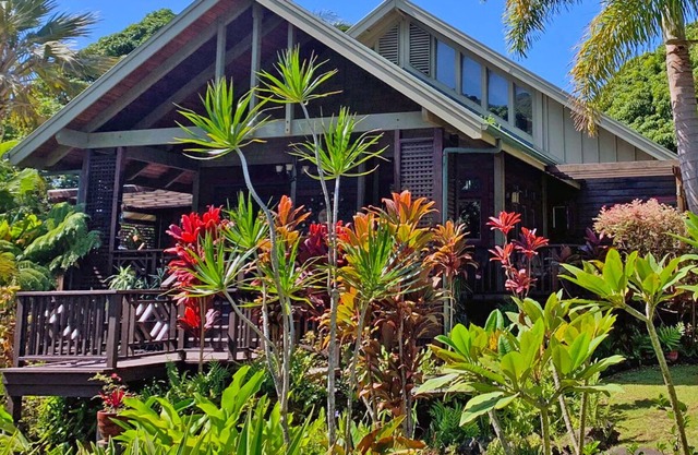 Dragonfly Lodge, a Tropical Retreat House