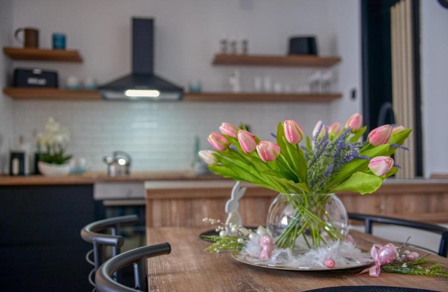 Dream Apartment Vršac