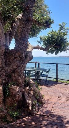 Driftwood Beach Villa