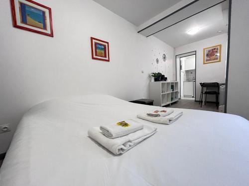 Duruy 4 studio cosy rdc fdc proche centre-ville