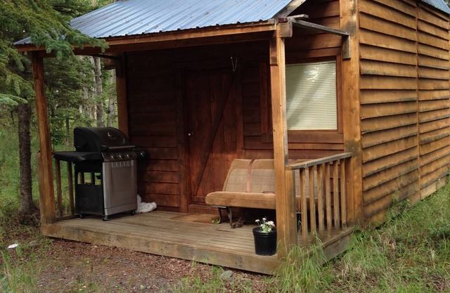 Eagles Nest Cabin In The Woods