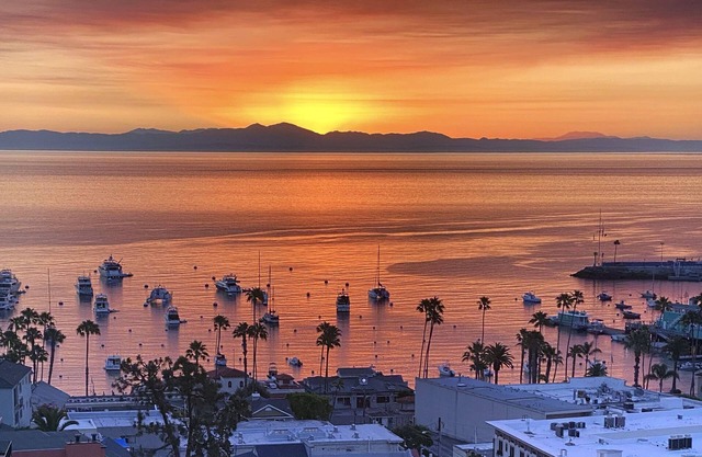 Eagle’s Nest | Voted Best Panoramic View in Avalon
