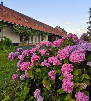 Eco-Gîte de L'Etang Présent