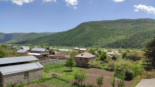 Eco Guest House Meghradzor